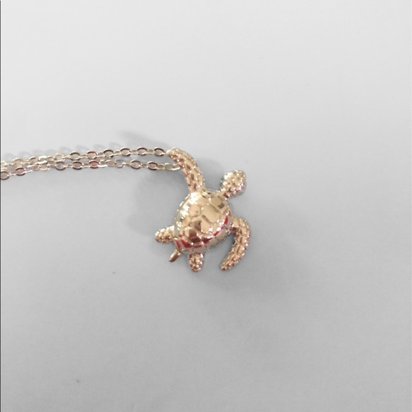 Lulixx Silver Turtle Necklace - Picture 10 of 11